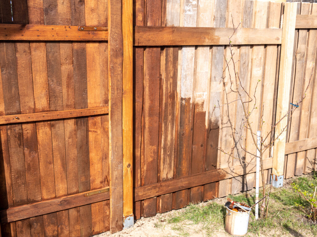 A half-stained fence in a backyard