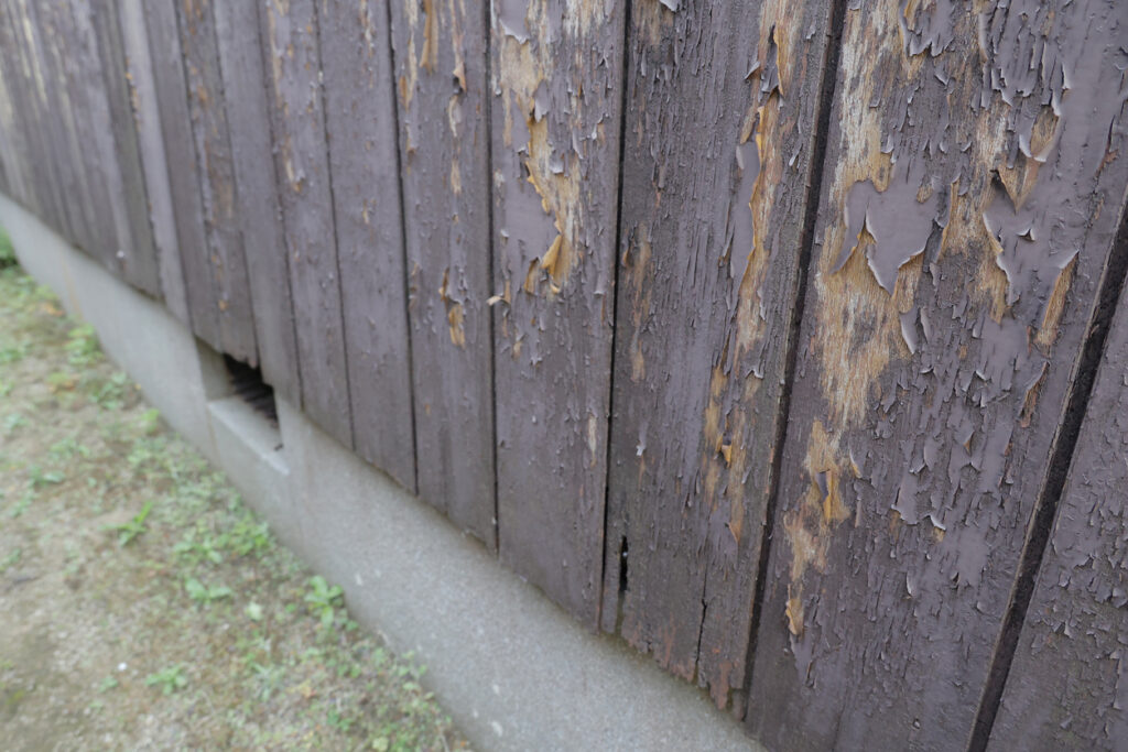 a chipped and peeling backyard fence in Austin, TX