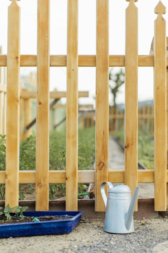 An unstained and unpainted picket fence