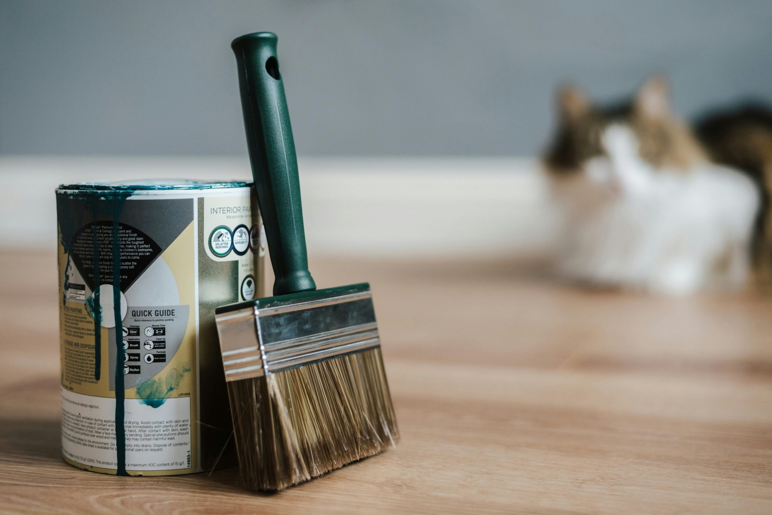 A can of paint and a paintbrush with a cat in the background for a painting project